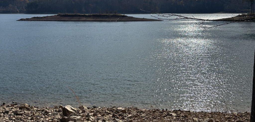 Watauga Lake near Shook Branch Recreational Area