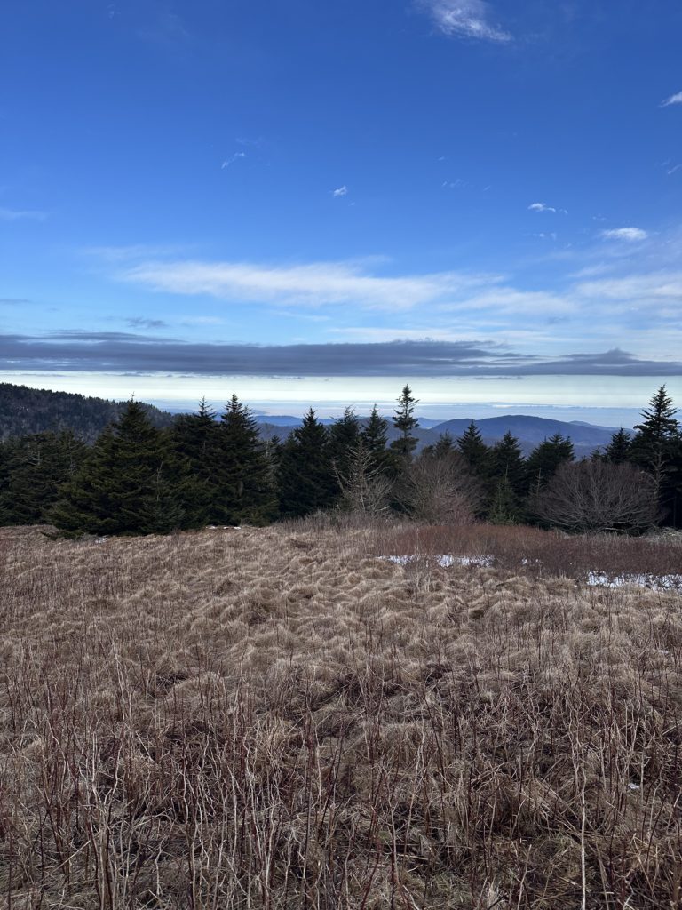 Fog settling in the distance from Round Bald.