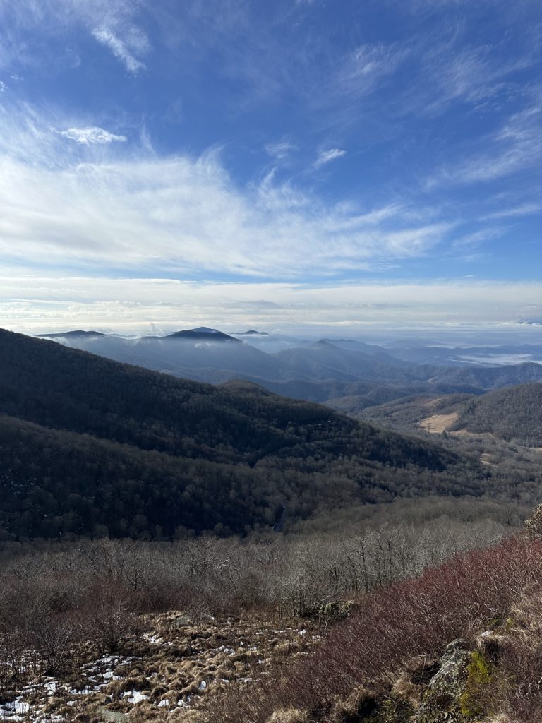 A guided half day hike can lead to an open vista from the Jane Bald.