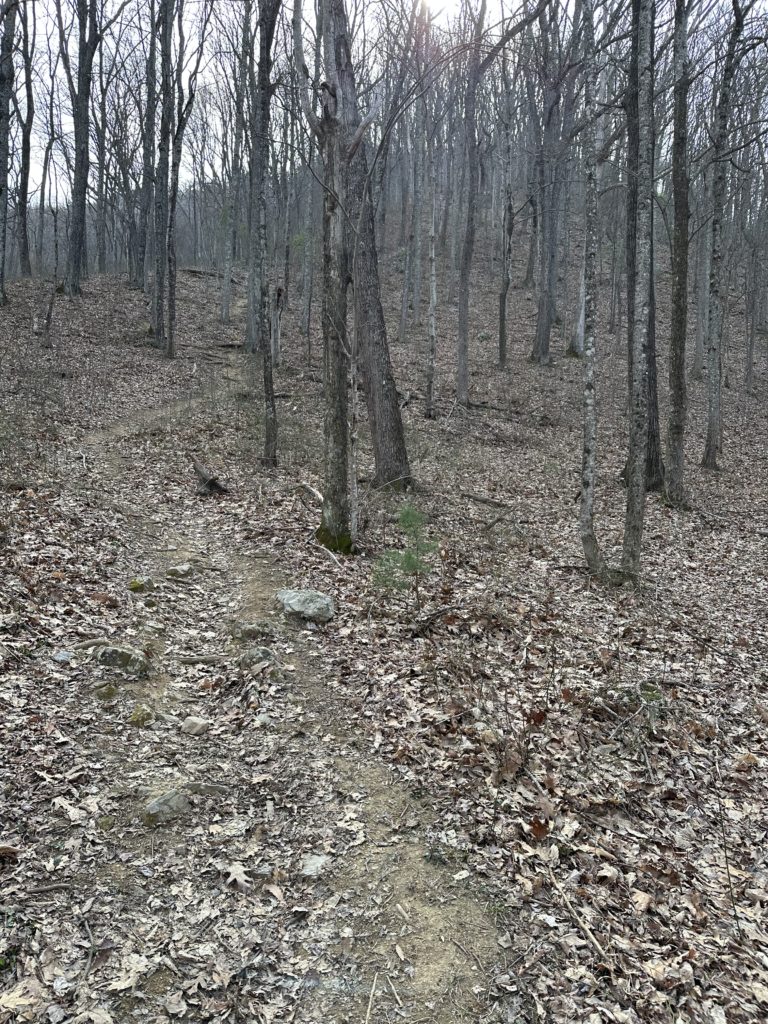 Flint Mill Trail early spring. Lonely path winding through the forest.