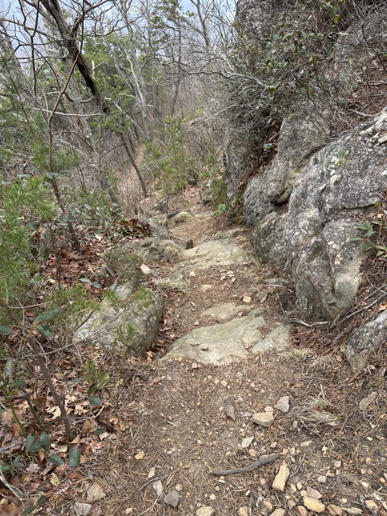 Flint Mill Trail rocky path.
