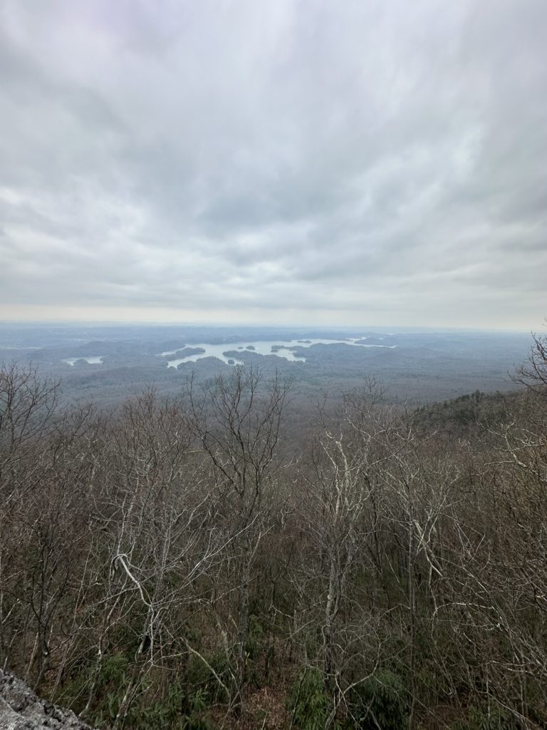 Looking out over South Holston lake from Holston Mountain.