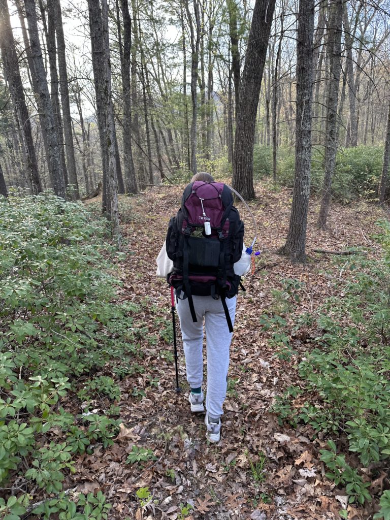 Solo hiker following a trail through sparse forest.