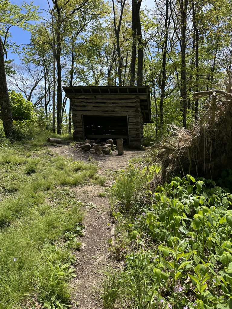 Small shelter sitting just off the trail. Waiting for the next hiker.
