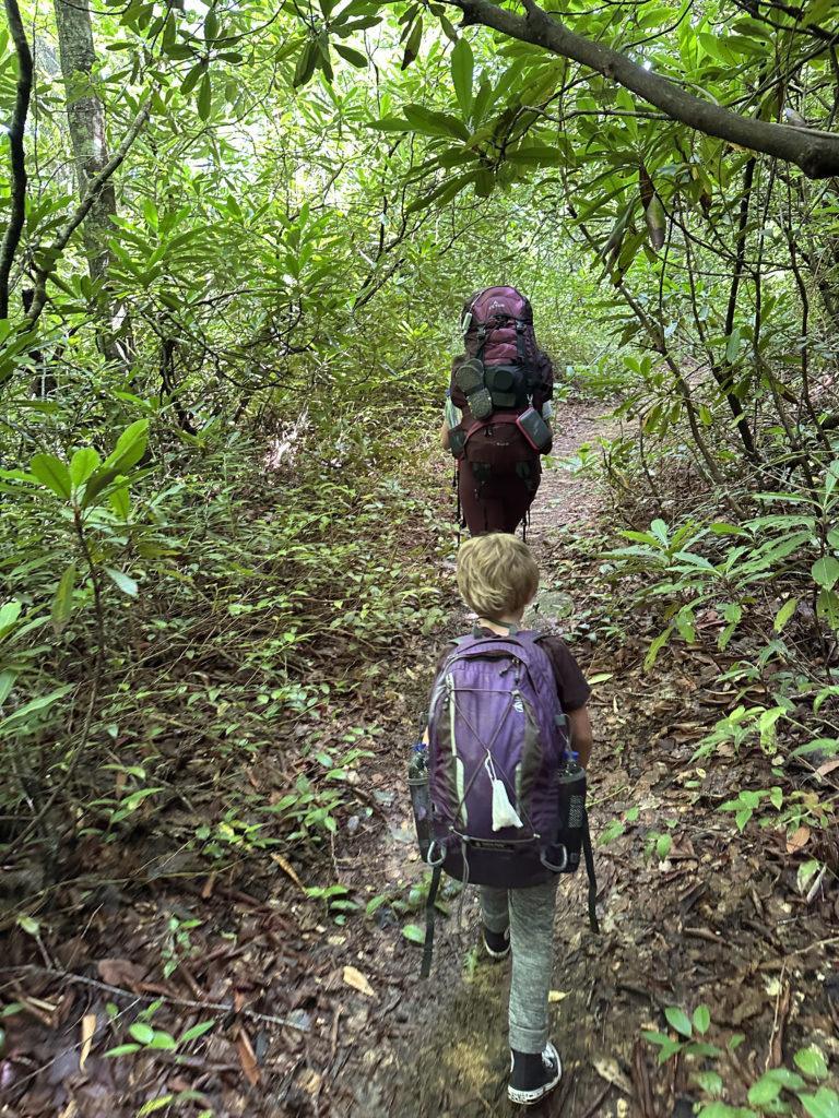 Young people hiking in Laurels Falls on an Eremos hike.