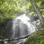 Coon Den Falls. A hidden gem neaa Dennis Cove in East Tennessee