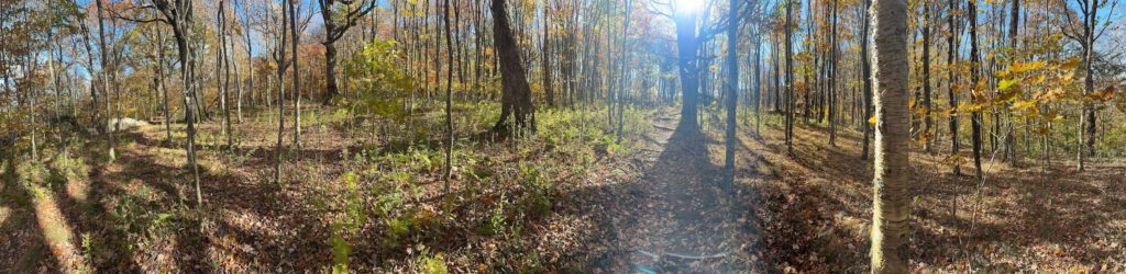 Eremos | A Trail fading into the forest in East Tennessee | Christian Hiking