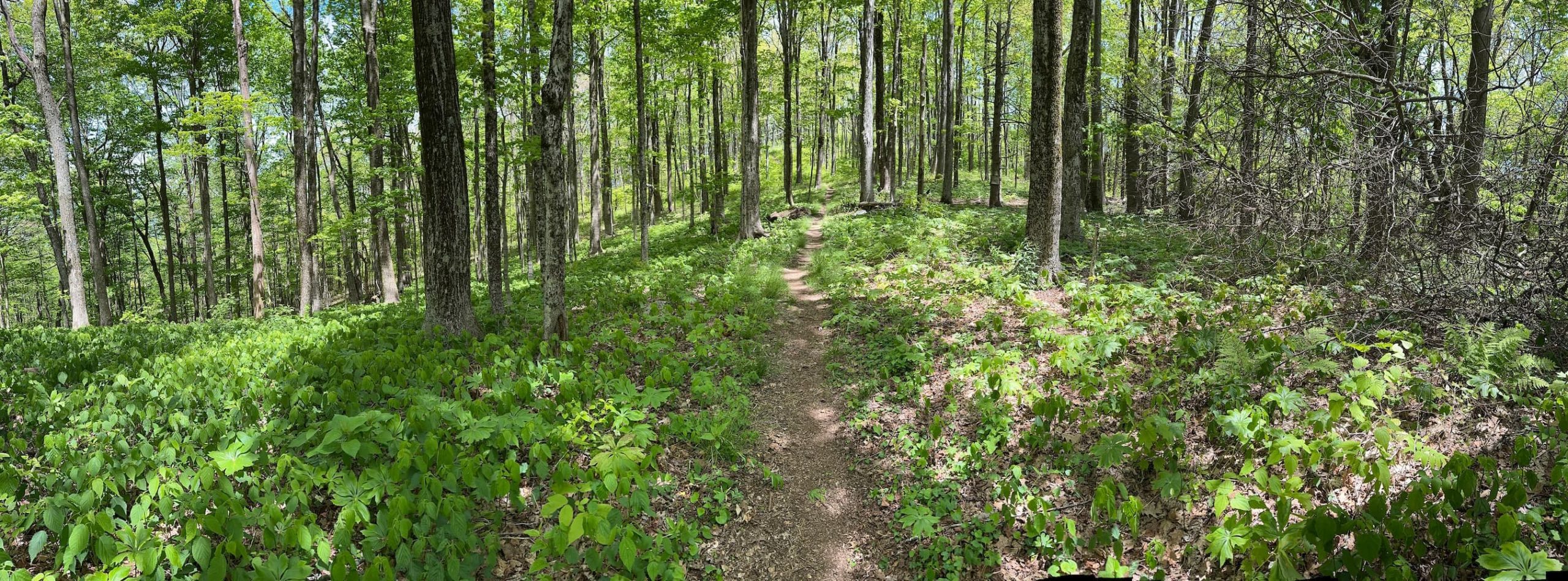 Eremos | Join the Journey | Christian Hiking Guide in East Tennessee