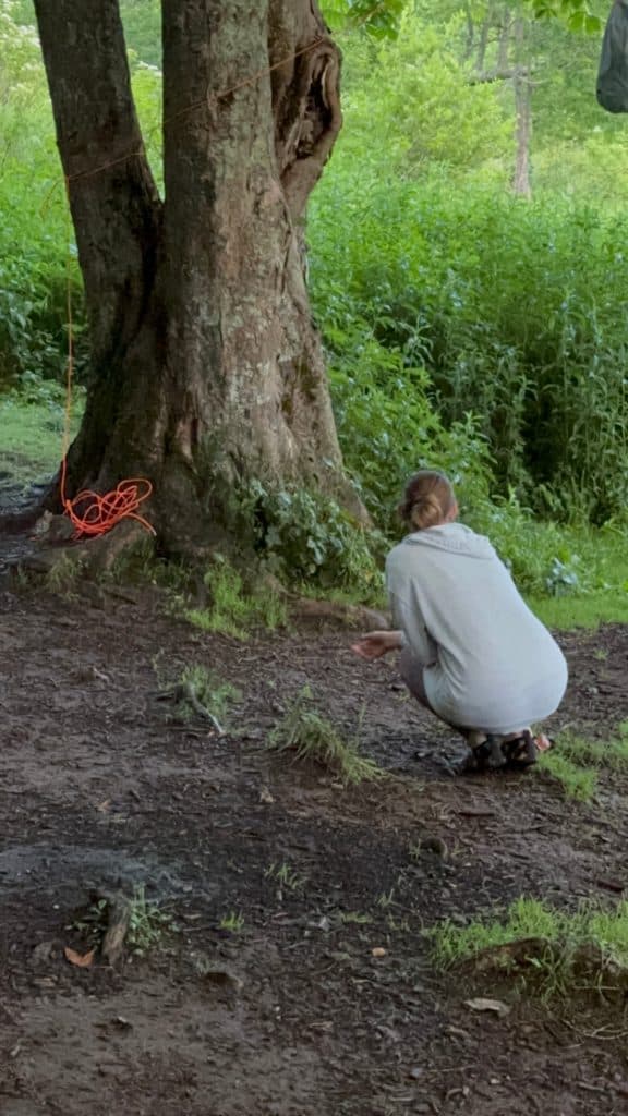 Eremos | A camp friend came hopping by | Wilderness | Wildlife | The Gift of Paying Attention | Christian mindfulness