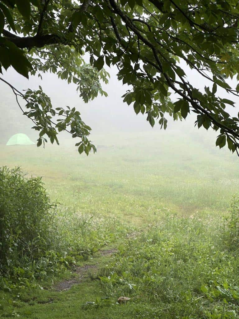 Single tent in an open field through the morning fog.
