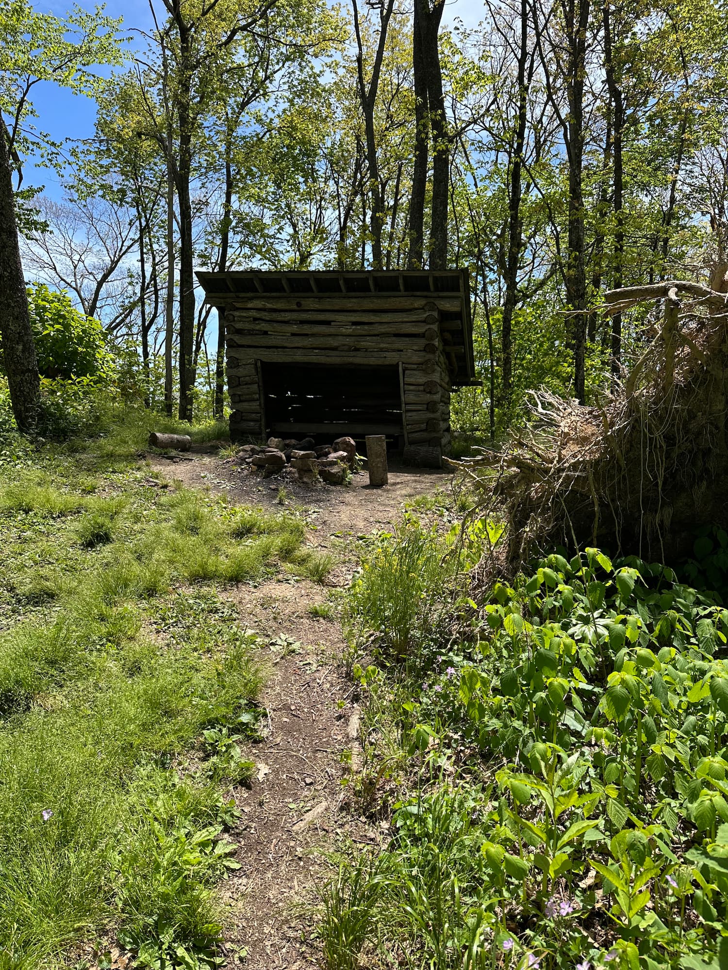 Eremos | Small shelter sitting just off the Appalachian Trail | East Tennessee Hiking