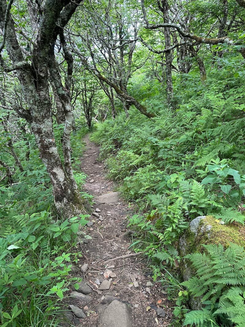 Full Day Hike | Eremos | Southern Appalachia | Christian Guided Hikes in East Tennessee
