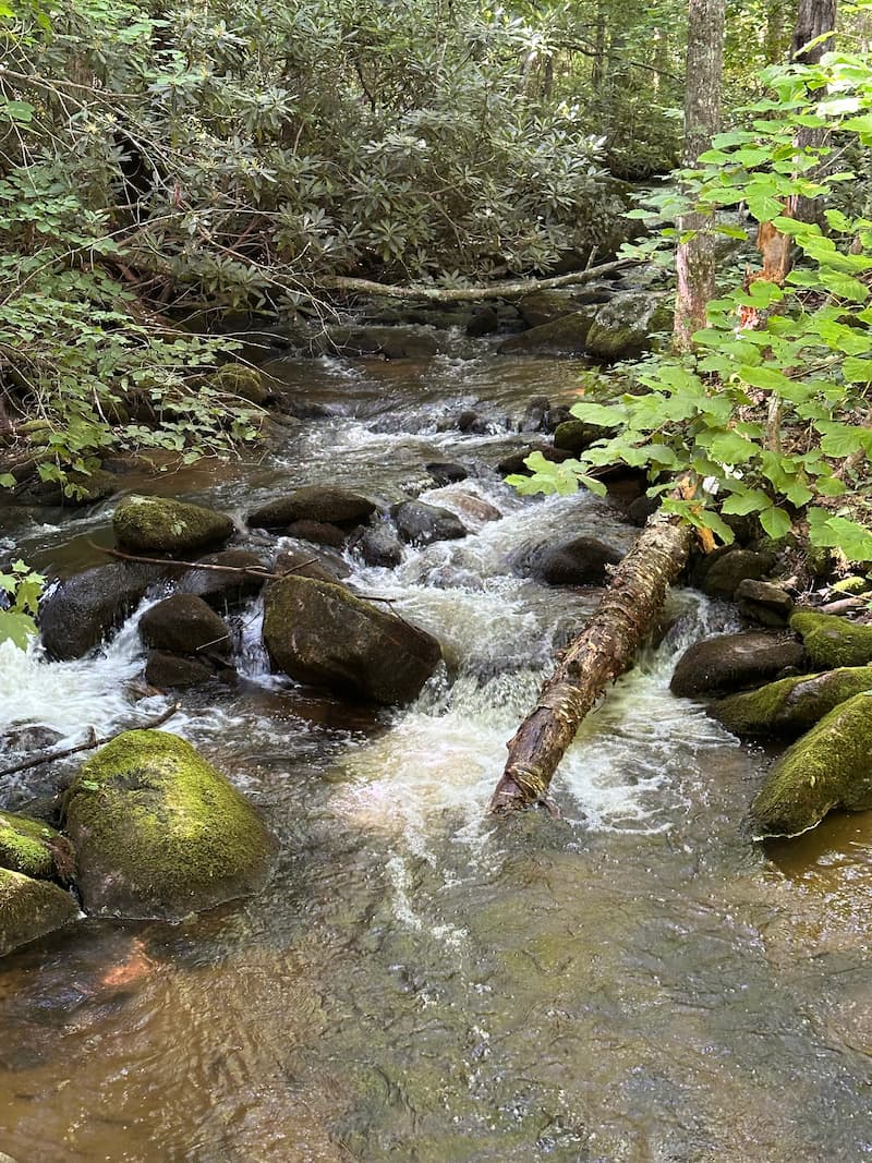 Guided Hike Preparation | Eremos | Wilderness guide in East Tennessee