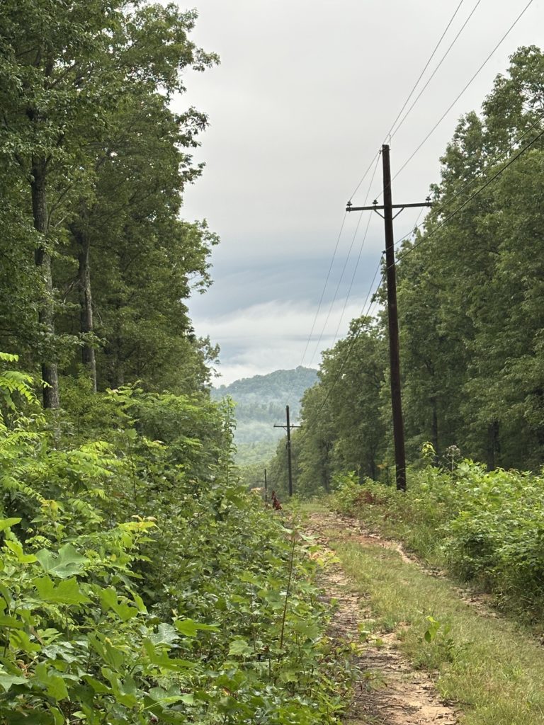 fall hiking in East Tennessee | Eremos | Morrell Trial in Bluff City, TN