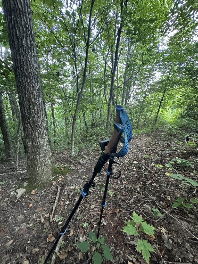 Dependence on God | Freedom of Dependence | Trekking Poles beside the trail | Eremos | Guided Hikes in East Tennessee